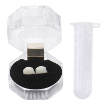 One Set Ghost Denture Decoration Prop For Costume And Party Use