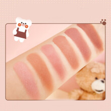 Rouge-Palette mit 6 Farben für Wangen-Make-up, 6 x 4 g Gesichtsfarbe, Schmutziges Orange & Getrocknetes