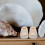 4 Pparen Mini Voor Poppenhuis 3 Cm 11