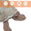 4 Kit Ciclo Decorazione 9