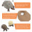 4 Kit Ciclo Decorazione 11