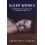 Sleep Works by Sebastian P. Klinger Paperback Book 1