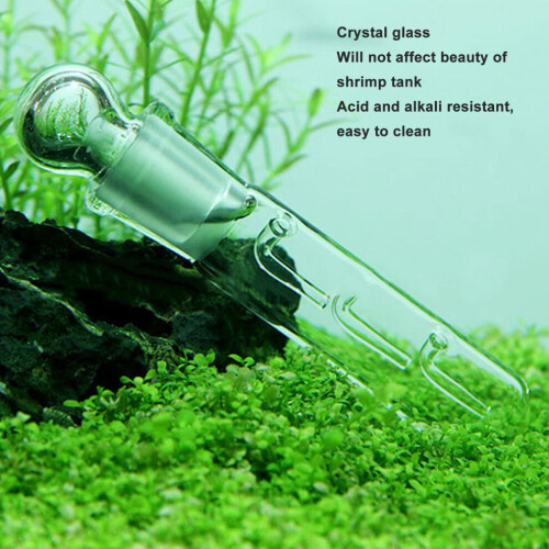 Effektive Planarienfalle aus Glas mit 2, 3 oder 8 Löchern für sichere Garnelenaquarien 2