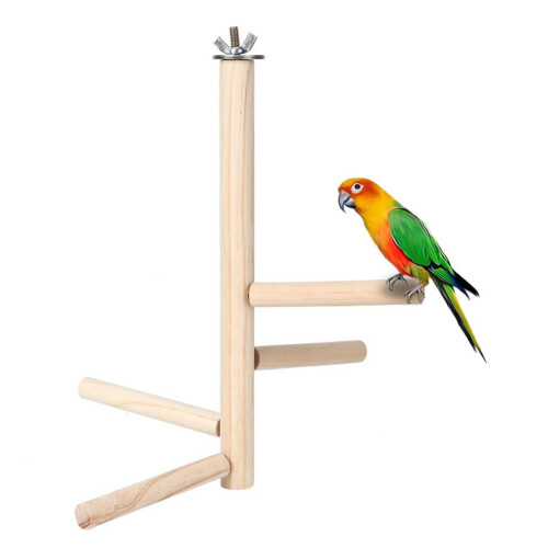 Support en bois pour cage à oiseaux, perchoir pour perroquets, perruches, inséparables, calopsittes, 1