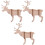 12 Cervo In Legno 3D Puzzle Da Te Educativo 2