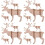 12 Cervo In Legno 3D Puzzle Da Te Educativo 7