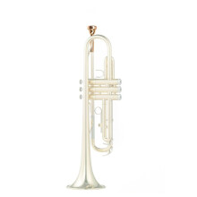 Trompetmondstuk Muziekinstrumentaccessoires Verguld 5C