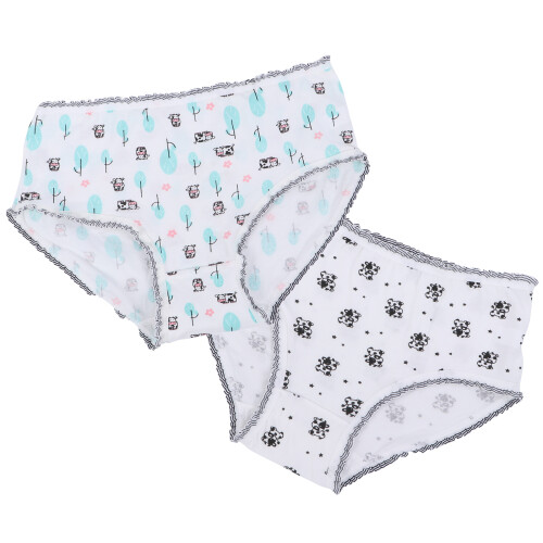 2 Slipjes Ademend Comfortabele Panty's