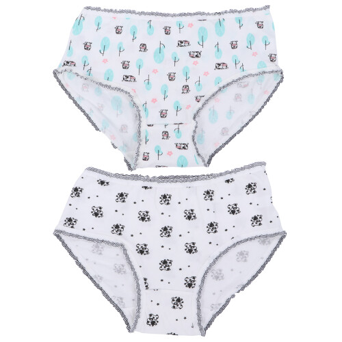 2 Slipjes Ademend Comfortabele Panty's 2