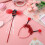 Set Vleugels Lieveheersbeestje Haarband Fee 6