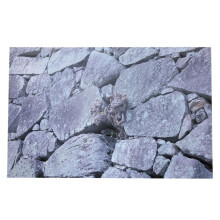 Rock Stone Background Decorative Sticker Wall Picture Landscape Painting for Aquarium Fish Tank61 x
