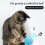 3PCS Cat Interactive Toy Balls - EVA/Wool, 5cm, Sounds 4