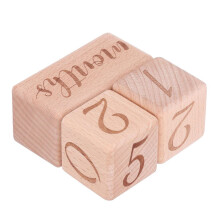 Personalized Baby Photography Prop - Wooden Milestone Blocks