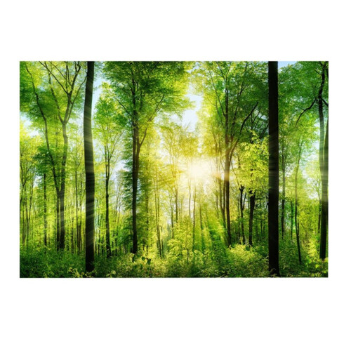 Póster de acuario forestal 3D (61 x 41 cm), impermeable, autoadhesivo 1