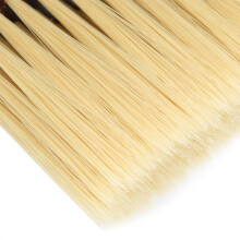 Professionele haarborstel voor stof en gezicht, met vezelborstels, voor het verwijderen van haar.