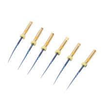 Juego de 6 limas de conducto endodóntico doradas, herramientas dentales de metal de 0,98 pulgadas