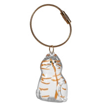 Decoratieve kattenbonten conserveringsdoos acryl-Oranje kat