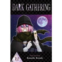 Dark Gathering Vol. 12 by Kenichi Kondo Paperback Book