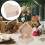 Holz Schmuckkästchen Herzform Mit Deckel Schmuck Organizer 5