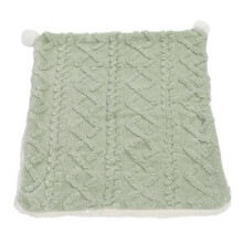 Double Layer Plush Pet Blanket - Soft Warm Bed Throw, Green L