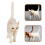 Simulation Animal Toy Cute Cat Model Educational Ornament Statue 4