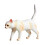 Simulation Animal Toy Cute Cat Model Educational Ornament Statue 7