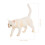 Simulation Animal Toy Cute Cat Model Educational Ornament Statue 9