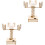 2 Sets Diy Geostationärer Wissenschaftsspielzeug 5