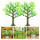 12Pcs Model Trees With Base For Train Set Diorama Dollhouse 11
