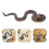4Pcs Realistic Rubber Rattlesnake Models For Halloween Decor 11