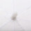 83cm Soft Light Studio Umbrella 33in Translucent for Flash Photography 2