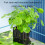 Hanging Fishtanks Plant-White round shape Suitable for thickne 7