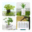 Hanging Fishtanks Plant-White round shape Suitable for thickne 3
