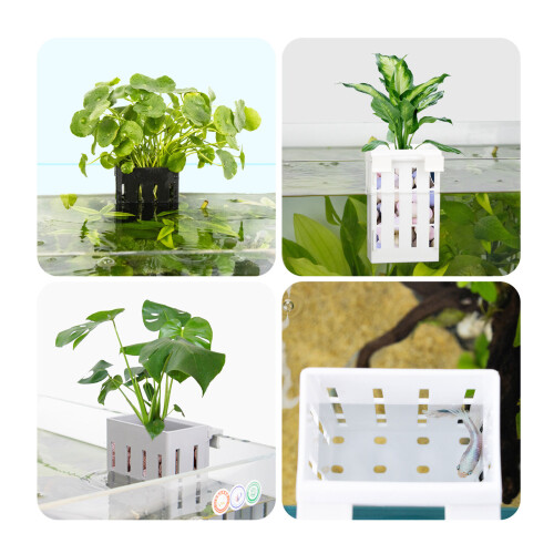 Hanging Fishtanks Plant-White round shape Suitable for thickne 2