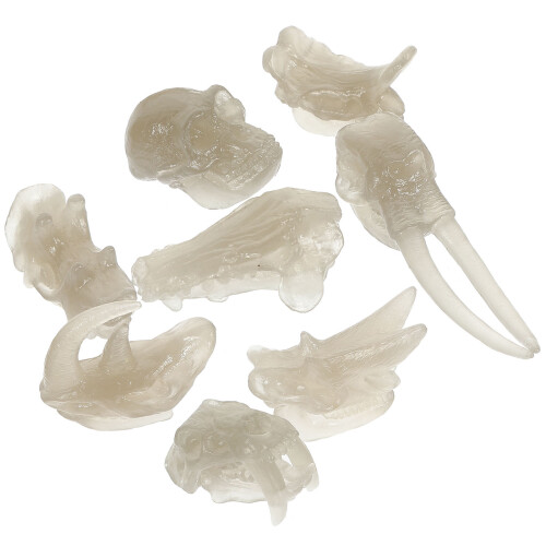 2 Sets Dinosaurier Knochenform Spielzeug Leuchtender Schädel Deko