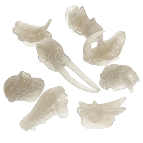 2 Sets Dinosaurier Knochenform Spielzeug Leuchtender Schädel Deko 2