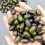 10PCS Artificial Olived Shape Ornament Lightweight Realistic 5