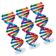 6 Dna Modell: Diy Doppelhelix Set Für – Molekularstruktur