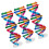 6 Dna Modell: Diy Doppelhelix Set Für – Molekularstruktur 1