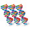 6 Dna Modell: Diy Doppelhelix Set Für – Molekularstruktur 3