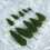 40St Groen Plastic Modelbomen Voor Decoratieve Layouts 11