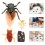 2 Sets Simulation Cicada Growth Cycle Display Models For Kids 10