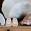 5 Pares De Miniatura 4 Cm Para Dedos Artesanato 4