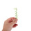 50 Stks Mini Bamboe Voor DIY En Micro Decoratie 4