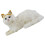 De De Peluche Animada Ideal Para Regalo 8