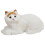De De Peluche Animada Ideal Para Regalo 4