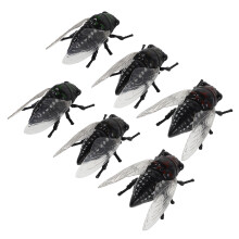 12 Cicada : Realistisches Insekten Spielzeug Für