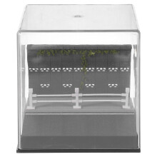 2St Transparante Acryl Display Case Multi Kleuren Opbergdoos