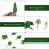 55Pcs Sand Table Adornments Simulated Tree Models Landscape Mini Props 8