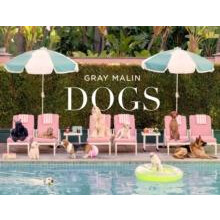 Gray Malin Dogs by Gray Malin Hardcover Book